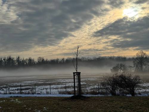 2026 01 15 104702 sm