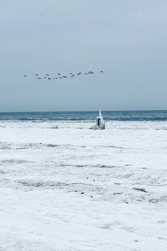 2026 01 24 132720 1920 cf sm